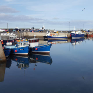 Seahouses Harbour