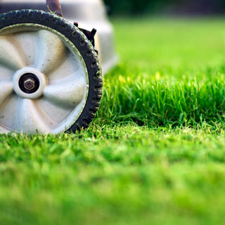 Grass being cut