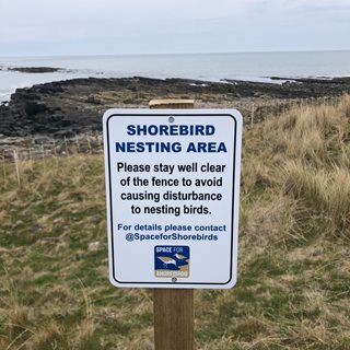 Photo of a sign about bird nesting areas