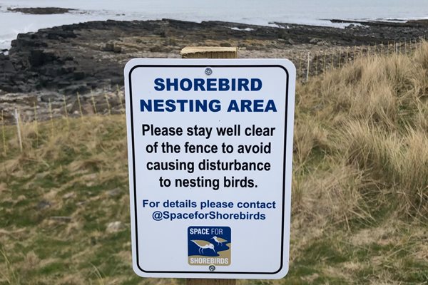 Photo of a sign about bird nesting areas