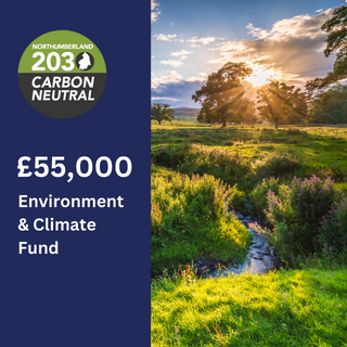 Image demonstrating Funding for environmental projects in Northumberland 