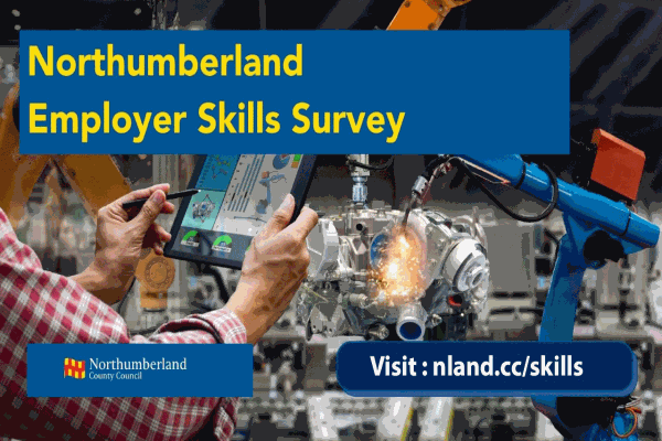 Poster advertising a Northumberland employer skills survey