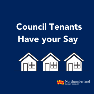 Council tenants have your say
