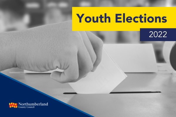 Youth Elections