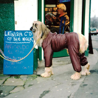 A dog in a shellsuit. A photography exhibition is coming to Blyth this summer