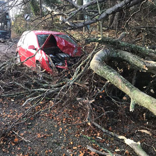 A car damaged by a fallen tree during Storm Arwen. The council's review into the response has now been published