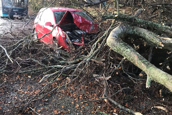 A car damaged by a fallen tree during Storm Arwen. The council's review into the response has now been published