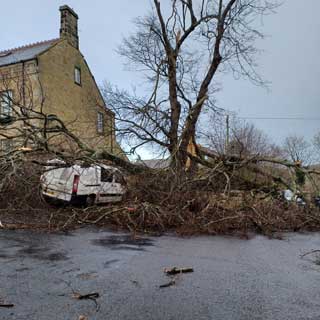 A car damaged by a tree during Storm Arwen