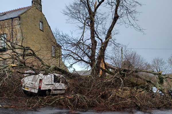 A car damaged by a fallen tree during Storm Arwen