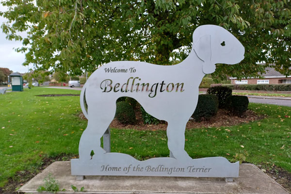 A statue of a Bedlington Terier. Drop-in events highlighting the latest developments for Bedlington are taking place in the town over the coming weeks. 