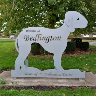 A statue of a Bedlington Terier. Drop-in events highlighting the latest developments for Bedlington are taking place in the town over the coming weeks. 