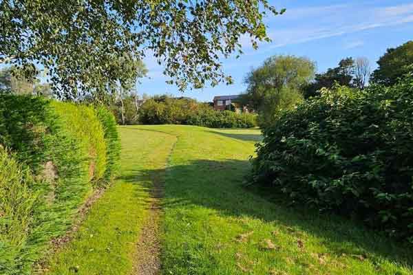 Overgrown footpath at Barns Park in Cramlington
