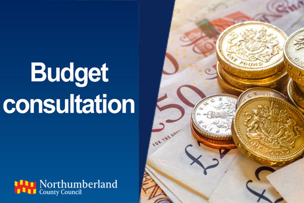 A graphic stating Budget Consultation and a pile of coins