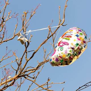 Helium balloon caught on tree. The council is urging people not to carry out balloon releases