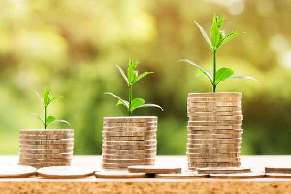 Plants growing out of a pile of coins