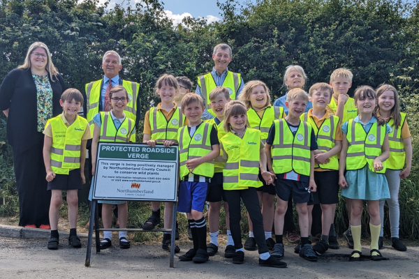 Image demonstrating Council aims to protect grass verges across the county