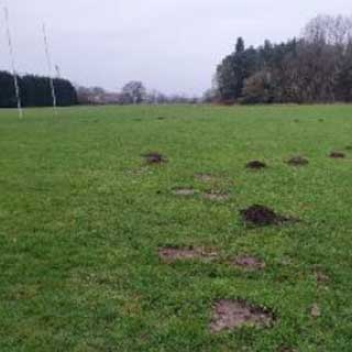 Morpeth Common - improvement works are getting underway