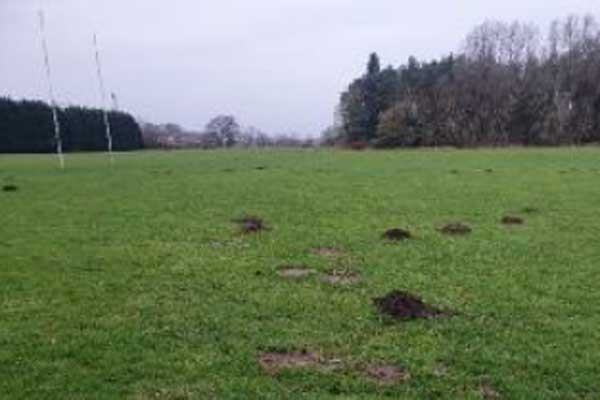 Morpeth Common - improvement works are getting underway