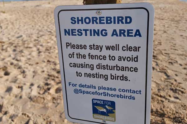 A sign urging people to stay away from nesting birds