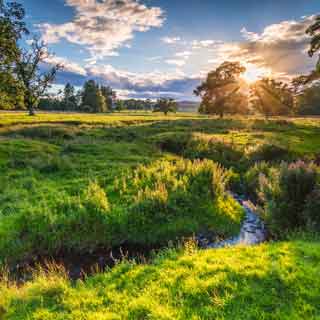 a countryside scene in Northumberland