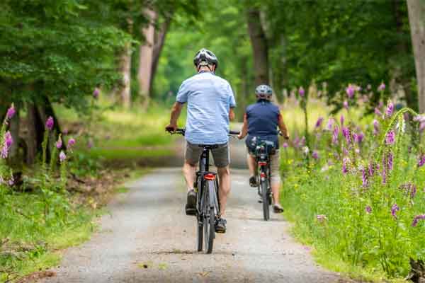 Two people biking down a country lane