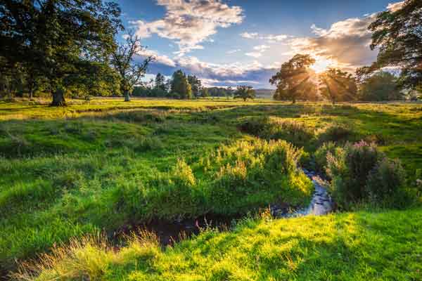 a countryside scene in Northumberland