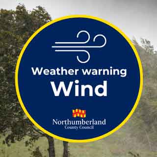A graphic warning of windy weather