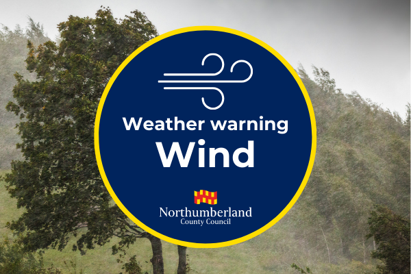 A graphic warning of windy weather
