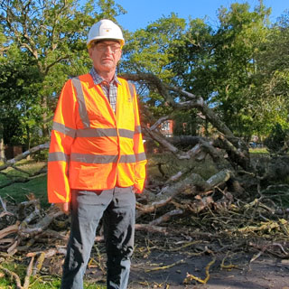 Councillor John Riddle by one of the felled trees in Ridley Park Blyth