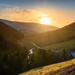 Image demonstrating Protecting the environment at forefront of Council plans