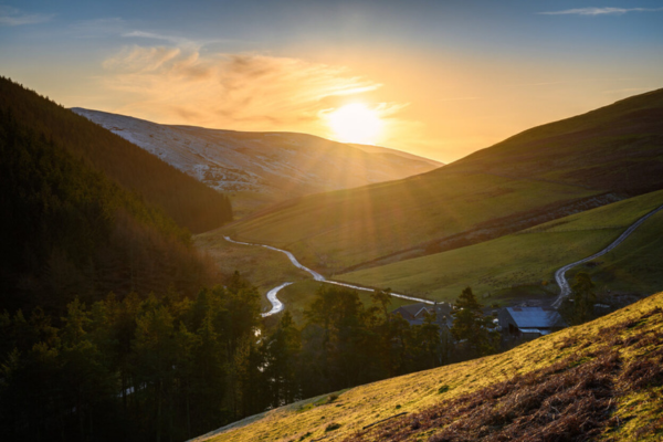 Image demonstrating Protecting the environment at forefront of Council plans