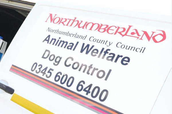 Image demonstrating Five year ban for dog neglect woman