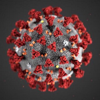 coronavirus