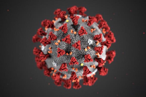Coronavirus graphic