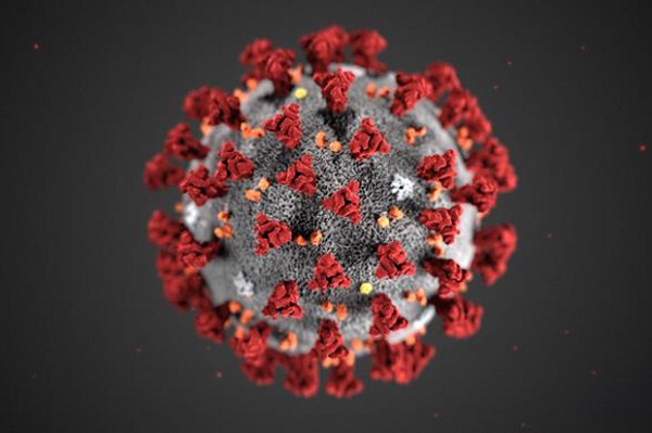 Coronavirus graphic