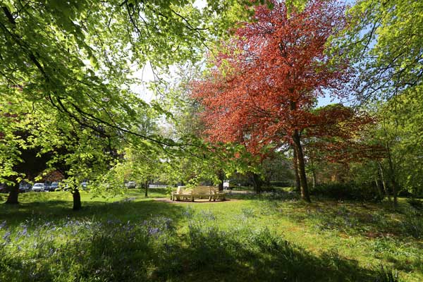 Image demonstrating County parks once again among the UK’s best green spaces