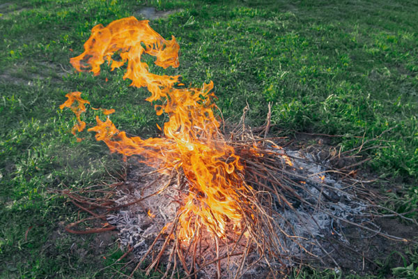 a bonfire in a garden