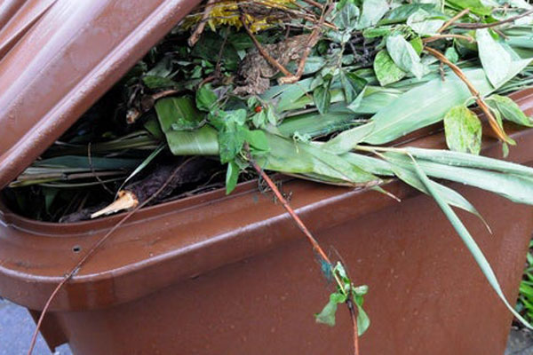 A garden waste bin