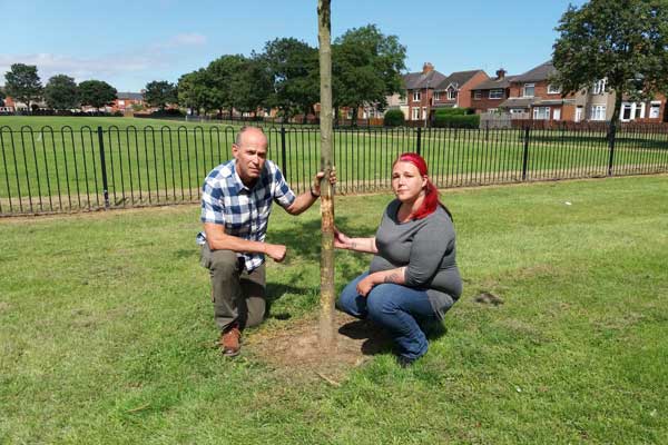 Image demonstrating Trees damaged in Ashington park attack