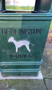 An bin with a Bedlington terrier outline and text saying "Bedlington Terrier".