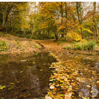 Image showing Plessey Woods Country Park & visitor centre