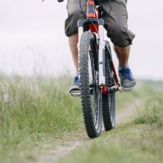 Image showing Hadrian's Cycleway 