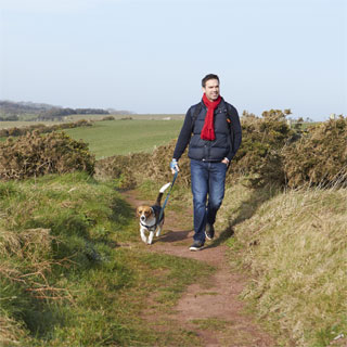 Image showing Information for Dog Walkers