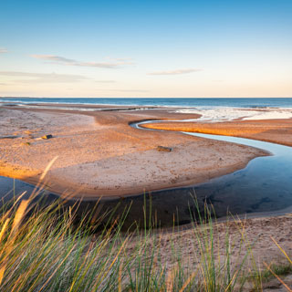 A photo from the dunes at Druridge Bay 