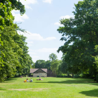 Image showing Tyne Green Country Park, Hexham