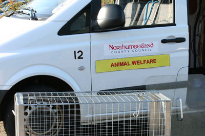 Image showing Animal welfare & dog control