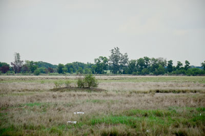 Image showing Contaminated land 