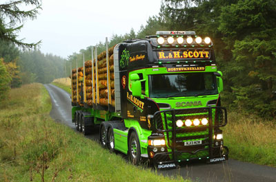 Image showing Timber transport